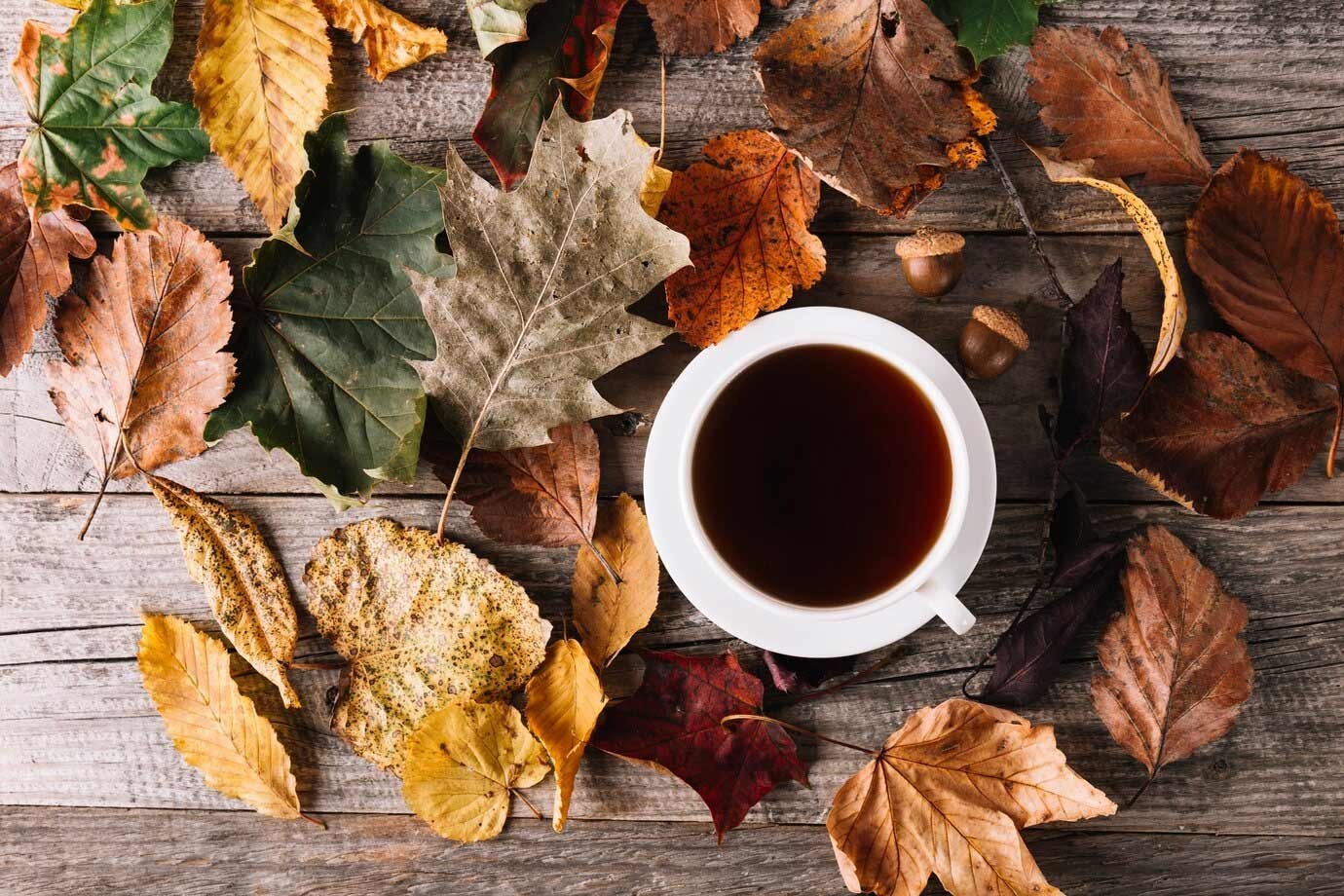 Infusiones de otoño